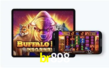 Login Seguro br898